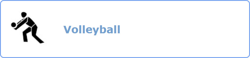 volleyball